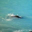 kdavisillustration avatar