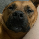 kdeeheartedjw avatar