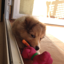 kebuenrollito avatar