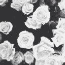 kecisutluframbuaz avatar