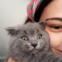 kedilerdeolmasa avatar