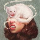 kedilerdesever-di avatar