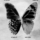 kedilerguzeluyanir avatar