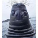 keenhideoutenthusiast avatar