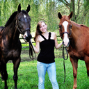 keep-calm-and-gallop-on avatar