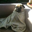 keep-calm-and-skate avatar