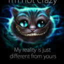 keep-calm-im-only-crazy avatar