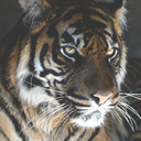 keep-smiil-ing avatar