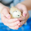 keepanopenheart avatar