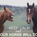 keepcalm-equestrians avatar