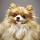 keepcalmandbeacat avatar