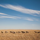 keepcalmandtravelonkate avatar