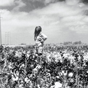 keepcalmwobbleon avatar