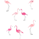 keepflamingoing avatar