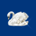 keepgettinglost avatar