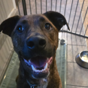 keepingthehopealive avatar