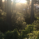 keepmeoutofyourhead avatar