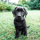 keepsmiling90 avatar