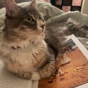 keepyourarmin avatar