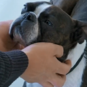 keinbutterdieb avatar