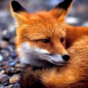 keitlin96-blog avatar