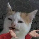 kelikeliku-blog avatar