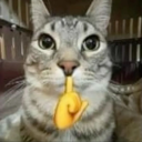 kelloggssblog avatar