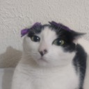 kellyandherdots avatar