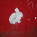 kellywhiterabbit avatar