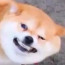 kelpsplatterscoped avatar