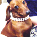 kelseydaugherty avatar