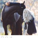 kendahlholdenphotography avatar