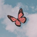 kendihalindeuyurgezer avatar