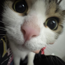 kendimdedegilmisim avatar