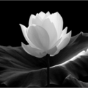 kendrajustine avatar