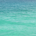 kengo-kakudate avatar