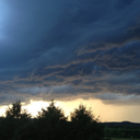 kentuckycardinal avatar