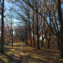 kenziehuskley avatar