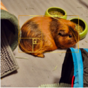 keplerpoinsot avatar