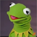 kermit-ydafrog avatar