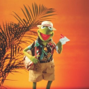 kermitingarson avatar