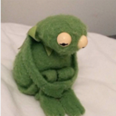 kermitmentality avatar