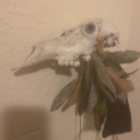 kesp-mimosa-blaze avatar