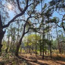 ketalarynsworld avatar