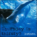 ketaro-blog avatar