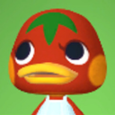 ketchupfromanimalcrossing avatar