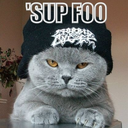 ketkatkittyconfusion avatar