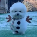 kevinornokevin avatar