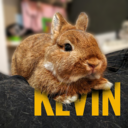 kevinthebunny avatar