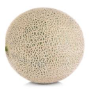 kevinthecantaloupe avatar